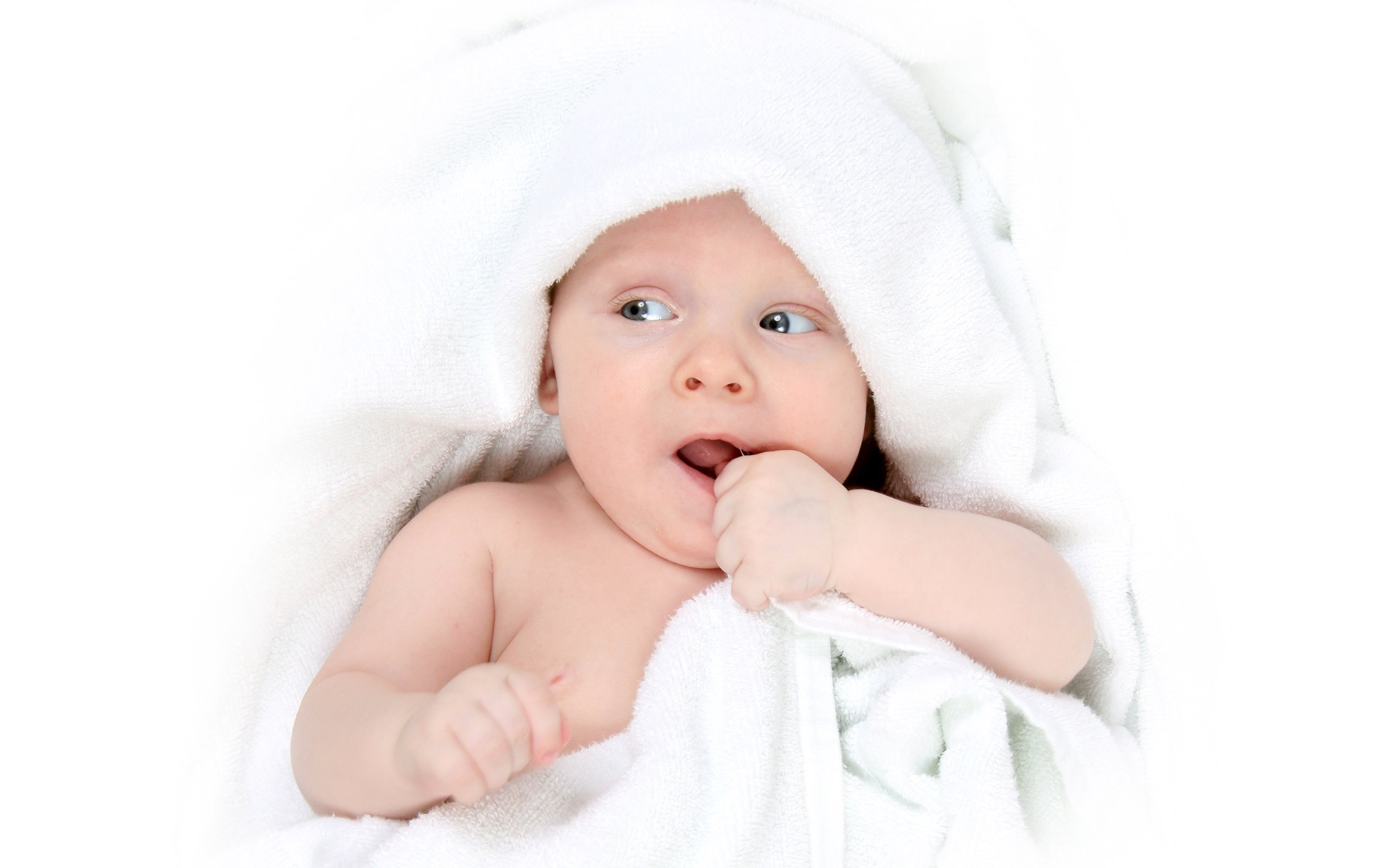 代怀生子助孕机构试管婴儿成功几率